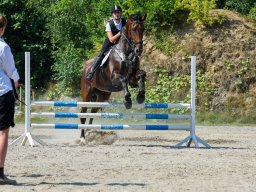 _DSC7733_web